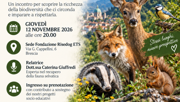 SERATA: LA FAUNA SELVATICA DEL NOSTRO TERRITORIO